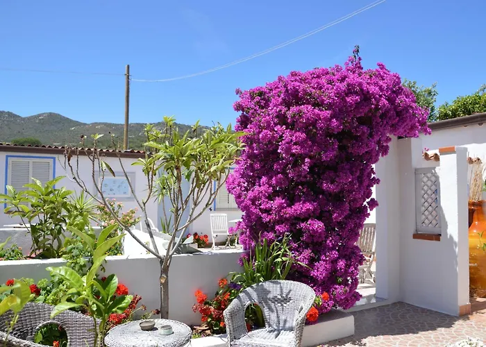 Hotel Il Timone Olbia